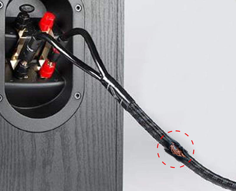 Check Physical Connections